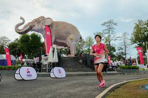 BIB: 
                            <button type="button" onclick="openModal(26529008)" class="btn btn-primary btn-sm float-right btn-popup" data-toggle="modal" data-target=".modal-high-quality">
                        <i class="fas fa-shopping-cart"></i> Add to Cart
                    </button>
                                            <button type="button" onclick="isThisMe(26529008, true)" class="btn btn-success btn-sm float-right btn-popup btn-isme hidden" data-toggle="tooltip" data-placement="bottom" title="นี่คือรูปของคุณใช่ไหม คลิกที่นี่เพื่อเอาเข้าอัลบั้ม">
                        <i class="fas fa-plus"></i> Add to album
                    </button>
                    <button type="button" onclick="isThisMe(26529008, false)" class="btn btn-warning btn-sm float-right btn-popup btn-isnotme hidden">
                        <i class="fas fa-ban"></i> Remove from album
                    </button>